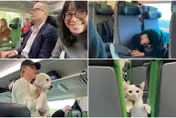 人生清單！芬蘭「寵物車廂」必須去　全網暴動：台灣給我跟上