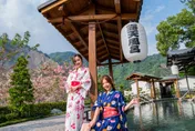 加碼至明年！高雄旅遊團補助最高5000元　賞梅、泡湯、品茶一次玩