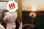 「蒲公英」髮型超吸睛！　網讚嘆：求髮型師大名