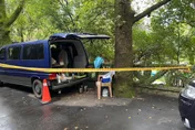 柯賜海「以車為家」陳屍公園！姊淚曝「弟昨跌倒2次」：本要強制送醫…