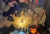 最新現場畫面曝光！外國人登合歡山砍杜鵑生火取暖…至少20株受害