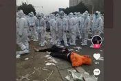 富士康鄭州廠爆動後　華爾街日報：蘋果加快生產線移出大陸