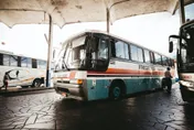 快訊/出遊離奇枉死！75歲潘姓婦人遊覽車視線死角綁鞋帶　慘遭碾斃不治