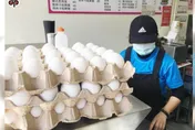 臺灣蛋荒將滿一年　農委會：竭盡一切穩定蛋價