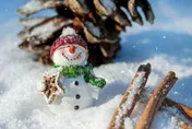 「大雪」要來了！命理師曝：5生肖有如神助　事業、財運旺翻天