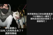 36歲男星同框「走失狗狗」！緊急發文「15mins找回主人」　暖舉曝光50萬粉絲讚爆