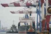 財政部：第4季出口負成長成定局恐年減逾7%比預期糟　為2年半首見