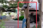 公園當自己家～樹木變置物架　南投市公所回覆「無法可管」
