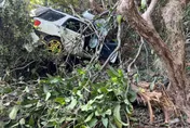 【影】閃貓衝進蓮霧園！枋寮自小客車車禍　釀1死1傷