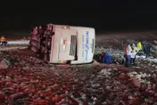 美國入冬不平靜！暴風雪、冬季野火　多達14州陷入氣候危機