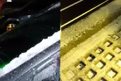 合歡山下雪了！武嶺一夜「銀白」　追雪族嗨翻了