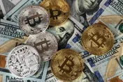 美國最大加密貨幣挖礦公司申請破產　公告不會償還到期債務