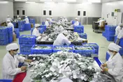陸「退燒神藥」布洛芬現缺藥潮　產量世界第一仍難趕上需求