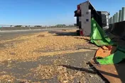 【影】整條路甜爆！雲林台78線小貨車自撞翻覆　甘蔗渣噴滿地