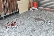 悍女不滿歐多拜被貨車擦撞！與鄰居互丟石塊鐵條　雙方都很傷
