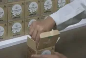 不只瘋搶普拿疼！「這神藥」民眾搶寄對岸　有人一次掃20包