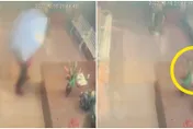 【影】土地公前偷東西！警開「上帝視角」秒逮人　網歪樓：是多好吃…哪裡買？