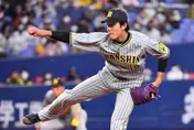 吸血鬼報價！阪神火球男4億入札條件曝　大聯盟5隊競標
