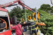 快訊/北市單車女騎士衝下2層樓邊坡！警消緊急吊掛救援