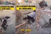 老翁跌刺骨冰湖…女子捨身跳水救人　全網憂後遺症：恐影響生育！