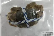 2年來首批戴奧辛含量「超標」產品　6400公斤陸大閘蟹被銷毀！