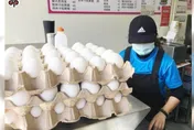 台灣人對陳吉仲失望至極！「這件事」引爆民怨