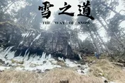 零度搜救！苗栗消防局曝跨年救援　搜救人員眼裡「絕美雪景」成絕境