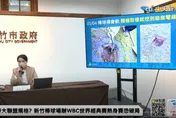 影/新竹棒球場缺失「高達152項」　高虹安直言：驗收放水