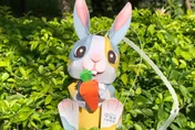 好可愛！台中燈會限量「Happy兔」　領取時間地點看這裡