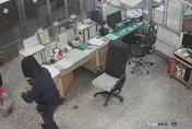 走失小狗路邊瑟瑟發抖！暖心警臉書幫PO協尋啟事　幫馬爾濟斯找到回家路