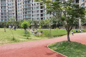 新竹變掩埋場？棒球場淪陷後　媒體人爆公園也有「大祕寶」