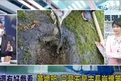 影/盧秀芳辣晚報 新竹棒球場大祕寶！黃揚明驚爆「時任評委竟高升內政部次長」