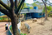 壽山動物園超夯！一日玩不夠再住高檔飯店　沉浸式打卡牆耍萌