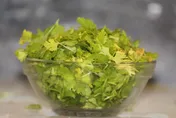 香菜好處比你想像的多！醫揭能降膽固醇、血壓兼護眼
