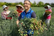 蕭景田涉賄800萬交保遭撤！士林地檢抗告成功