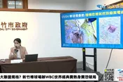 親綠林智群律師竟認新竹棒球場缺失「免送檢調」　慘遭專業土木人狂打臉