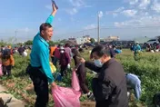 嘿呦嘿呦拔蘿蔔！彰化芬園免費活動湧上千人潮　8日記得再來拔