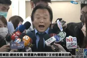 影/跟高嘉瑜退出民進黨另組新黨？王世堅給答案了！