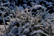真要命！工讀生搬薯條竟「腦出血亡」　醫：溫差每增1°C　腦出血風險增近1倍