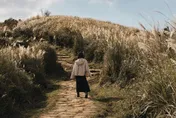 魔神仔出沒地曝光！前立委清晨4時親耳聽「山魅叫聲」　詭異高音頻「叩～」