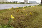 新竹又驚爆大秘寶！教練2原因不敢用 網瞬間暴動飆罵民進黨