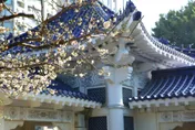 影/Google地圖全球「10大熱搜文化景點」曝！台灣兩處上榜