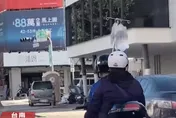 影/又是台南人！吊點滴阿伯單手騎機車太狠了　網友驚呼「生命騎士」