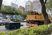 快訊/大安森林公園死亡車禍！雙載母子碰撞吊車　下秒媽捲車底身亡