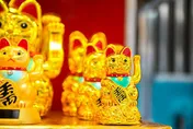 屬羊、屬雞有望發橫財！「3生肖」財運噴發　今起旺到大年初七