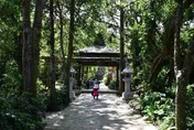春節走春/台北尋龍之旅！圓山日夜美景一覽無遺　指南山祈福兼賞櫻