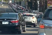 梅山變「龜」山？賞梅人潮車潮爆量塞爆梅山公園　5分鐘車程慘變1小時