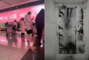 黑龍江-53度有多冷？艙門冰封旅客等嘸行李　回娘家大門成「冷凍庫」