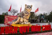 影/亞洲國家歡慶兔年！越南獨樹一幟過「貓年」原因曝