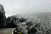 影/超美！新竹這裡也下雪「累積整晚」　現場白茫茫一片…現場照曝光
